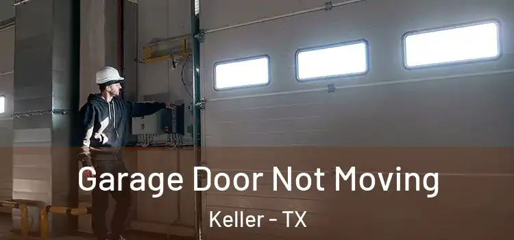  Garage Door Not Moving Keller - TX