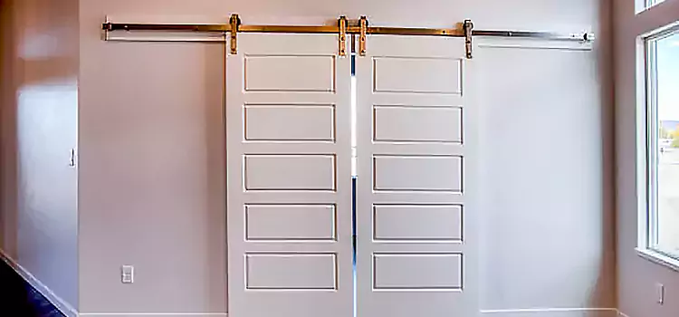 Glass Barn Door with Installation Hardware Kit Keller